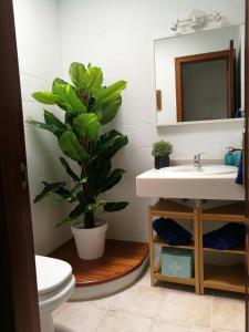 a bathroom with a sink and a potted plant at Casita La Concha in Playa Honda +24 photos