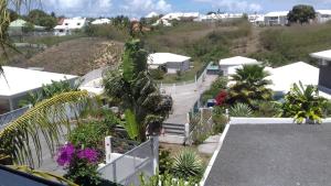 arial view of a yard with palm trees and houses at Bois patate location in Sainte-Anne