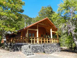 a log cabin in the woods with trees at Cabañas en Termas de Chillán in Recinto