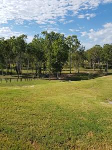 a field of grass with trees in the background at Adwaga Lodge in Tamborine