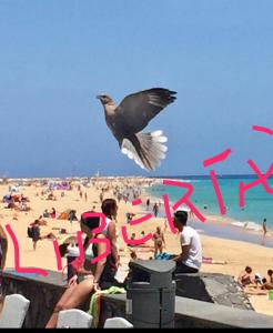 コスタ・カルマにあるIl Paradiso Esisteの人々と一緒に人混みの浜辺を飛ぶ鳥