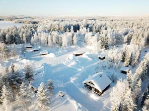 SonkaにあるPalojärven Lomakeskusの雪に覆われた森の木々の空中風景