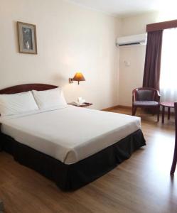 關丹的住宿－馬來西亞關丹斯里酒店，酒店客房带一张大床和一把椅子