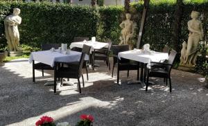 Zahrada ubytování Hotel Villa Delle Palme