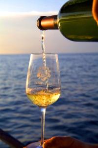 a person pouring a glass of white wine at Apartmani Juraj in Zavalatica +11 photos