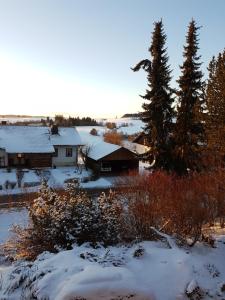 レーッフィンゲンにあるHaus Bellaの雪に覆われた家並木