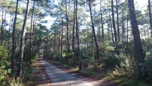 Gallery image of Un Matin D’été in Lacanau-Océan