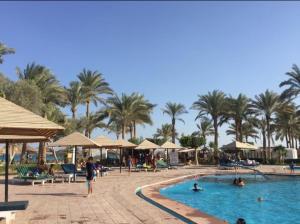 una piscina del resort con palme e persone di Palmera El Sokhna Chalets Families Only a Ain Sokhna