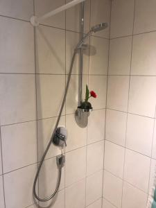 カルテンバッハにあるFerienwohnung Gruber-Hansenの赤い花を入れた鍋のシャワー