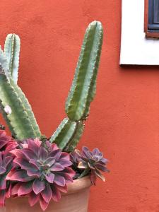 Fotografie z fotogalerie ubytování Cortijo El Pozuelo v destinaci Tarifa