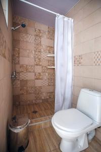 a bathroom with a toilet and a shower at Gogi Dvalishvili Wine Cellar in Gori