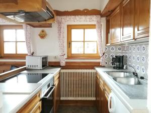 cocina con fregadero y microondas en Alpenhaus Ganser-Dixit, en Mariazell