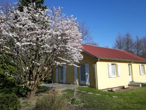 una casa con un árbol floreciente delante de ella en Maison de MANON, en Illhaeusern