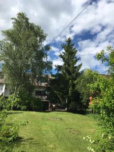 a yard with two trees and a house at Sára Apartman Parádfürdő in Parád