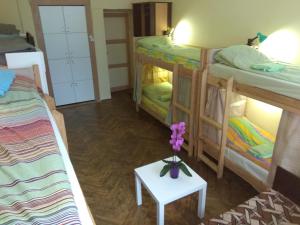 Gallery image of Hostel Drive in Lviv