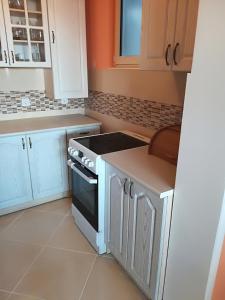 Una cocina o cocineta en Apartments Vukovic