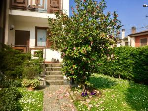 Vonkajšia záhrada v ubytovaní Rana B&B
