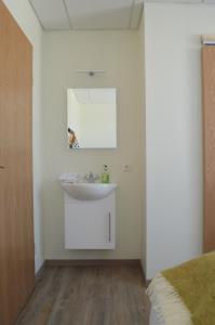 グルンダルフィヨルズルにあるザ オールド ポスト オフィス ゲストハウスのバスルーム(洗面台、鏡付)