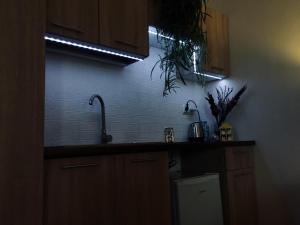 a kitchen with a sink and a counter top at Apartament Ormiańska in Zamość