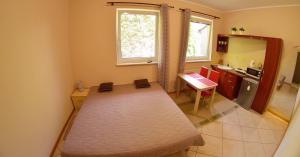 Η κουζίνα ή μικρή κουζίνα στο Apartament Promyczek