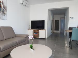 Televízia a/alebo spoločenská miestnosť v ubytovaní Apartment ARIA Exclusive Petrcane