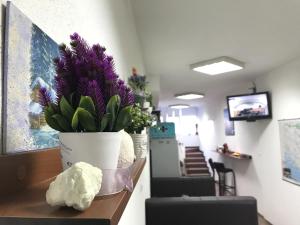 ヴィソコにあるKingdom Rooms Visokoのサロンのカウンターに花を飾った部屋