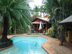 a swimming pool in front of a house with palm trees at Trees Too Guest Lodge in Komatipoort