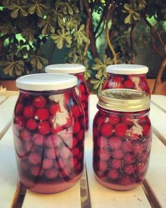 two mason jars filled with fruit on a table at La Goiaba B&B in Senigallia