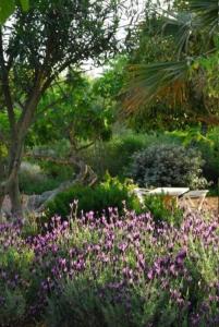 a garden filled with purple flowers and trees at Quinta da Lua in Tavira