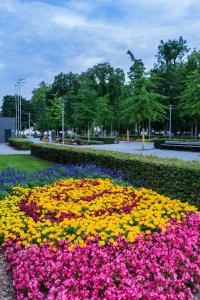 Zahrada ubytování Parkhotel Schillerhöhe