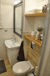 mała łazienka z toaletą i umywalką w obiekcie Apartament w lesie w mieście Lipnica +29 zdjęć