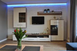 salon z telewizorem na murze w obiekcie Apartament w lesie w mieście Lipnica