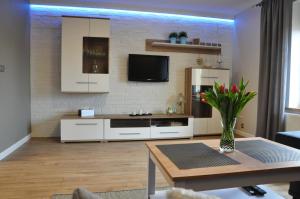 Telewizja i/lub zestaw kina domowego w obiekcie Apartament w lesie
