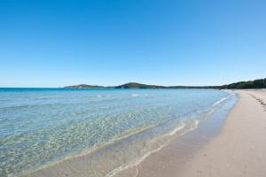 a beach with the ocean and the shoreline at U Paesolu in Sainte-Lucie de Porto-Vecchio