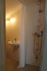 ein Bad mit einem Waschbecken und einer Dusche mit einem Duschvorhang in der Unterkunft Viesu nams AMRAI in Ventspils