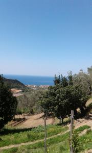 una vista del océano desde la cima de una colina en Casa Belvedere, en Belvedere Marittimo
