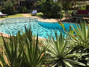 - une piscine dans une cour ornée de plantes dans l'établissement Bianca and Pietro House, à Watamu