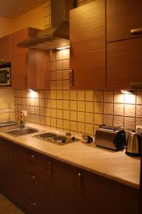 Eldhús eða eldhúskrókur á Apartamenty Starka