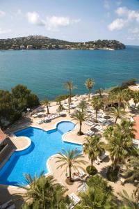 a beach with palm trees and palm trees at TRH Jardín Del Mar in Santa Ponsa