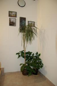 Fotografie z fotogalerie ubytování Hostel Humpolec v destinaci Humpolec