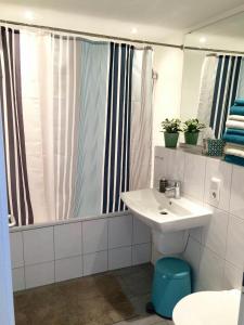 W łazience znajduje się umywalka i prysznic. w obiekcie Ferienwohnung Dörrie im Zentrum w Münster