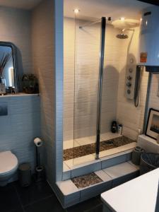 a shower stall in a bathroom with a toilet at la terrasse Desaix in Strasbourg