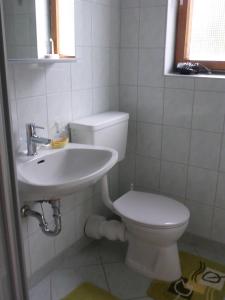 a bathroom with a toilet and a sink at Bauernhof Moadl in Weyregg