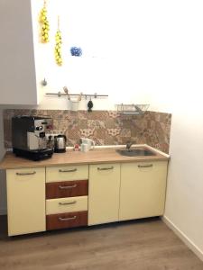 eine Küche mit einer Spüle und einer Mikrowelle in der Unterkunft La Guardiola Di Angela e Nino in Taormina