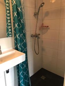赫魯斯貝克的住宿－Vakantiehuis B&B de Bosrand Groesbeek，水槽旁的绿色淋浴帘淋浴
