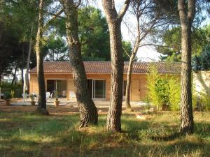 Gallery image of La Petite Maison Sous les Pins in Aix-en-Provence