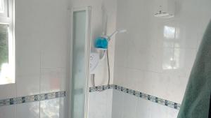 una doccia con una porta in vetro in un bagno di Cosy Lakeside Cottage John's hollow a Headford