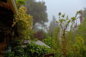 Giardino di The Rose Trail