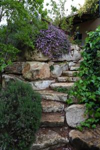 Giardino di The Rose Trail