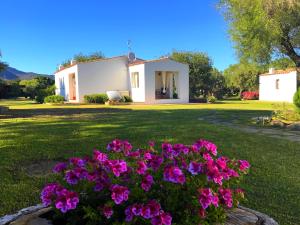 una casa con fiori rosa nel cortile di Agriturismo Li Scopi a San Teodoro